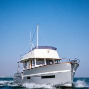 rhea_trawler_34_2_.jpg