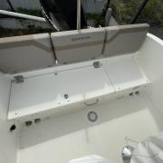 bateau_quicksilver_activ_675_d_occasion_2019_-_moteur_mercury_optimax_200_cv.jpg
