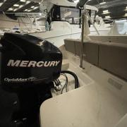 bateau_a_moteur_facile_occasion_2_.jpg