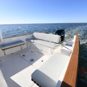 rhea_27_open_heritage_cockpit_fonctionnel_et_convivial_pour_la_famille.JPG