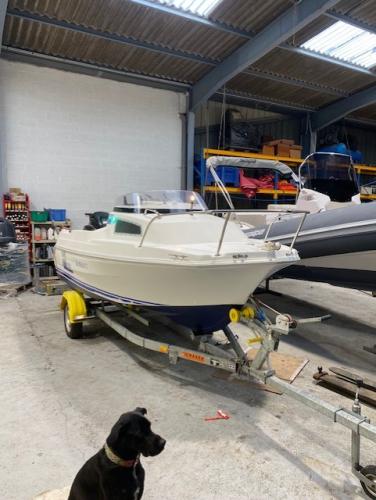 CLEAR LINER 440 CABIN