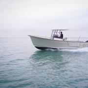 bateau_a_moteur_promenade_1_.jpg